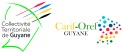 Logos CT et CO de Guyane