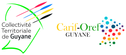 Logos CT et CO de Guyane