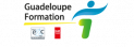 Logo Guadeloupe Formation